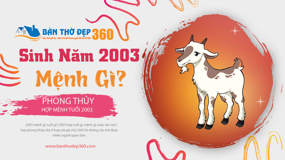 Sinh năm 2003 Mệnh gì? tuổi gì? Màu gì? Hợp hướng nào?