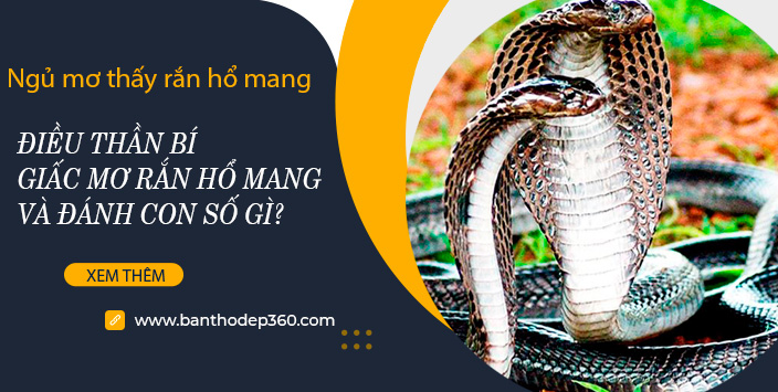 Ngủ mơ thấy rắn hổ mang - Điều thần bí giấc mơ và đánh con số gì?
