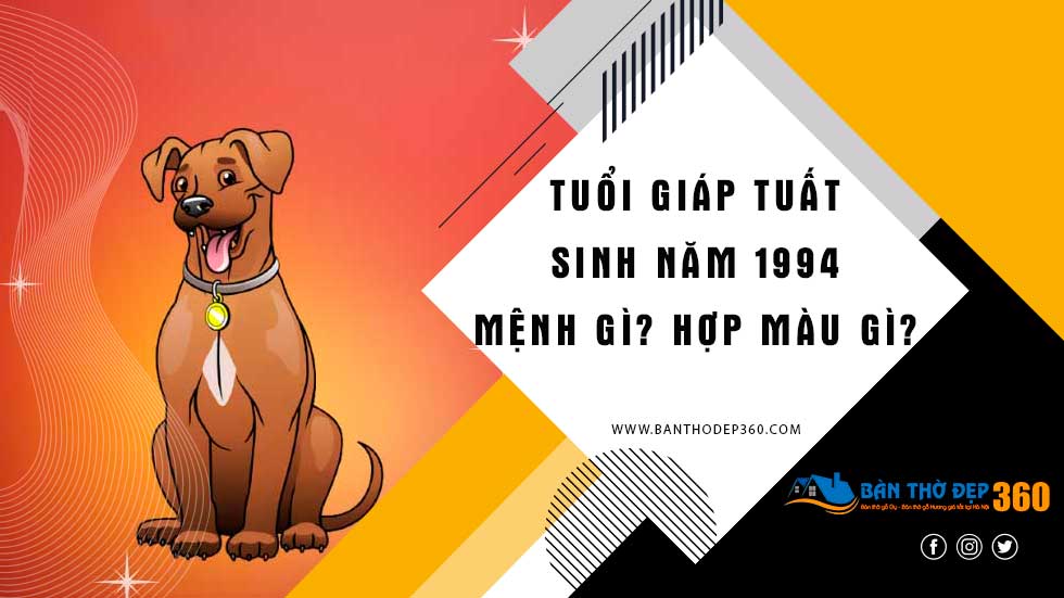 Tuổi Giáp Tuất 1994 Hợp Màu Gì 2021?