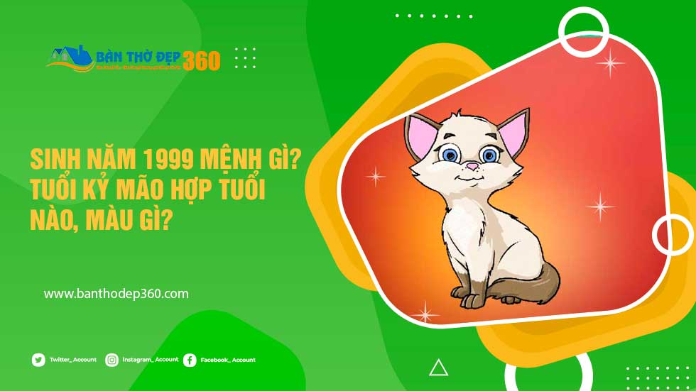 Nam nữ sinh năm 1999 mệnh gì, tuổi con gì hợp với hướng màu sắc nào – Kỷ mão